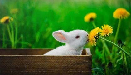 世界杯官方观看软件-“闽超”下月开赛厦门队开始集训 高达明出任主教练